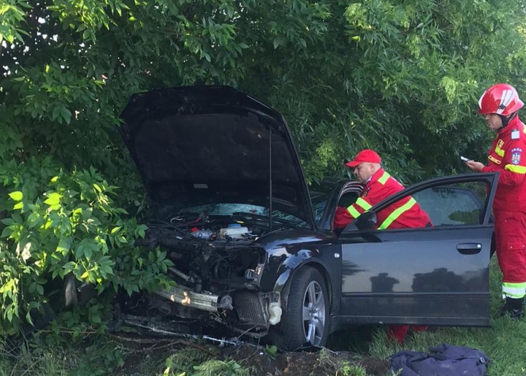 Pompierii au intervenit la locul accidentului. FOTO ISU Ialomița