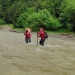 Câinele a fost salvat de către salvamontiști. FOTO Salvamont Maramureș