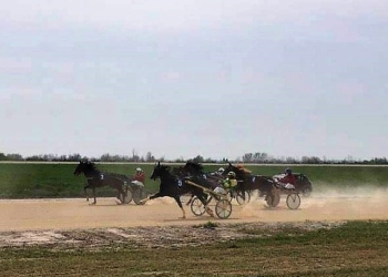 Curse pe Hipodromul Hergheliei Mangalia. FOTO ROMSILVA