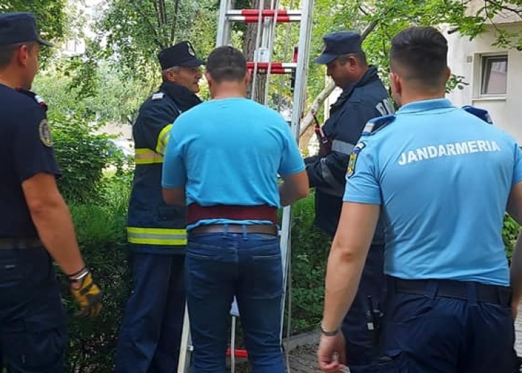 Jandarmii și pompierii au răspuns apelului 112. FOTO ISU Ialomița