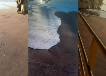 Poluare în Șantierul DAMEN Mangalia. FOTO Garda de Mediu