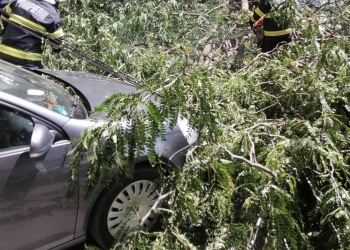 foto cu rol ilustrativ