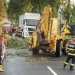 Mai mulți copaci s-au rupt și au căzut pe carosabil. FOTO ISU Delta Tulcea