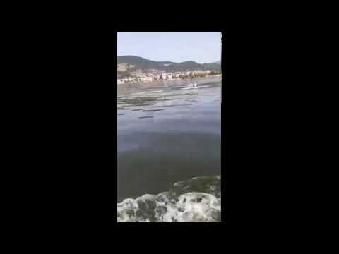 Accident naval Orșova