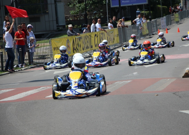 Imagine cu rol ilustrativ