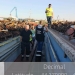 Barja cu deșeuri a fost întoarsă din drum. FOTO Garda de Mediu