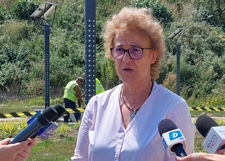 Felicia Ovanesian, city managerul municipiului Constanța