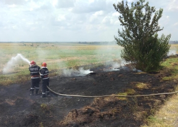 Incendiu de vegetație uscată. FOTO ISU Delta Tulcea