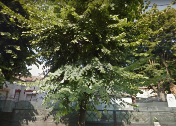 Strada General Manu, Constanța - Imagine cu rol ilustrativ.