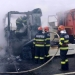 Foto cu rol ilustrativ