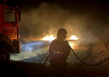 Focul s-a răspândit la miriștea uscată.  FOTO ISU Delta Tulcea