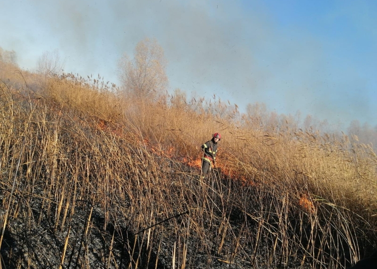 Foto cu rol ilustrativ