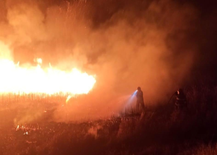 Incendiu de vegetație uscată. FOTO ISU Delta Tulcea
