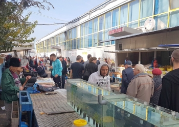 Comerț cu pești în Piața Brick. FOTO Facebook/Casa cu Acvarii