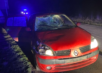 Mașina implicată în accident. FOTO IPJ Tulcea