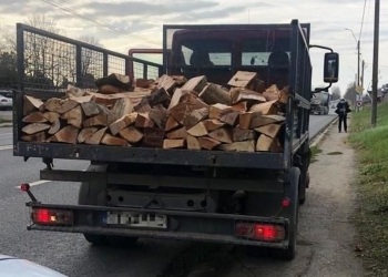 Transporturile de lemne, verificate de polițiști. FOTO IPJ Constanța