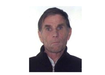 MIHALACHE VICTOR,, dispărut