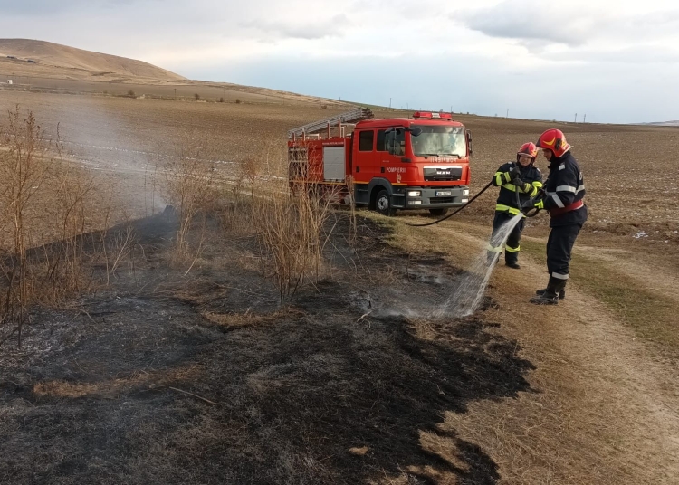 Incendiu de vegetație uscată. FOTO ISU Delta Tulcea