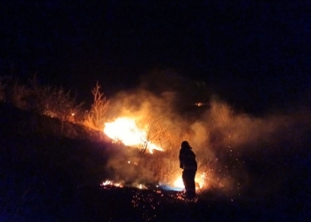 Incendiu de vegetație uscată. FOTO ISU Delta Tulcea