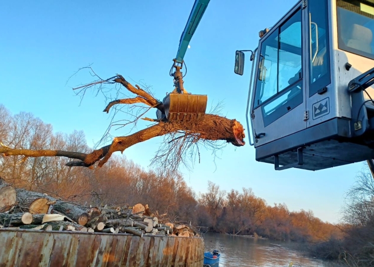 Masă lemnoasă recuperată din Delta Dunării. FOTO ARBDD