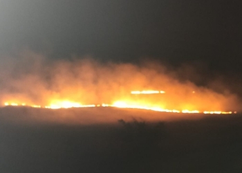 foto cu rol ilustrativ