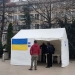 Punct de informare în fața Primăriei Tulcea. FOTO Primăria Tulcea