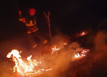 Incendiu de vegetație în Delta Dunării. FOTO ISU Delta Tulcea