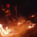 Incendiu de vegetație în Delta Dunării. FOTO ISU Delta Tulcea