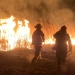 Incendiu de vegetație în Delta Dunării. FOTO ISU Delta Tulcea