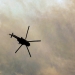 Elicopter. FOTO Ashutosh Pandey/Unsplash