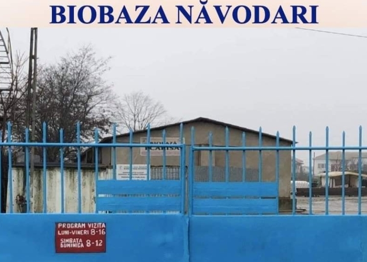 Biobaza Năvodari. FOTO Aurelian Dumitrașcu