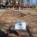 Nemo colectează PET-uri și doze de aluminiu. FOTO Primăria Hârșova