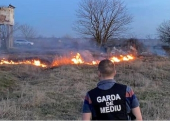 Garda de Mediu a aplicat sancțiuni pentru incendierea vegetației uscate. FOTO GNM