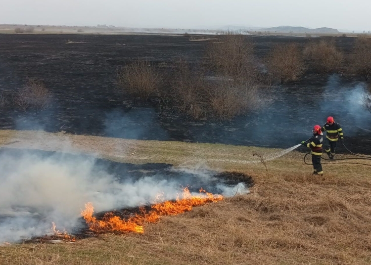 Incendiul violent de vegetație uscată. FOTO ISU Delta Tulcea