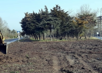 Lucrări de întreținere în sudul litoralului. FOTO Primăria Mangalia