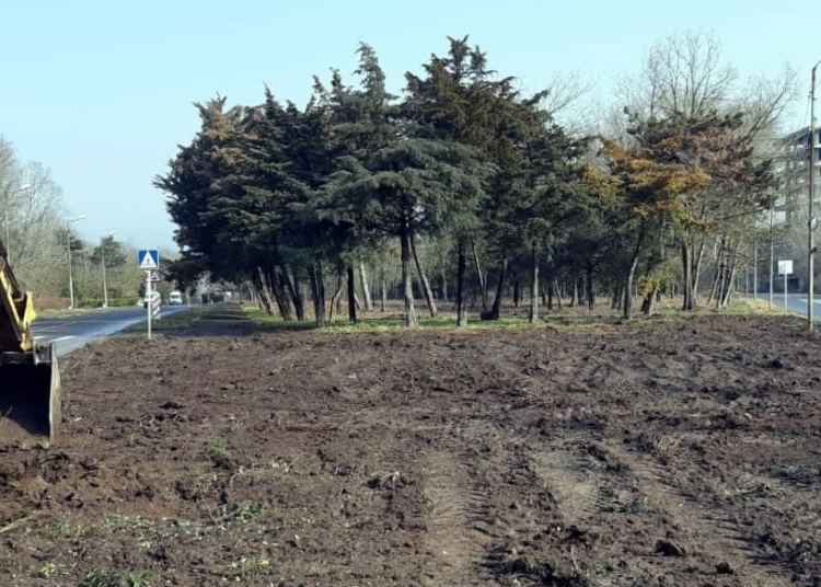 Lucrări de întreținere în sudul litoralului. FOTO Primăria Mangalia