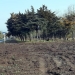 Lucrări de întreținere în sudul litoralului. FOTO Primăria Mangalia