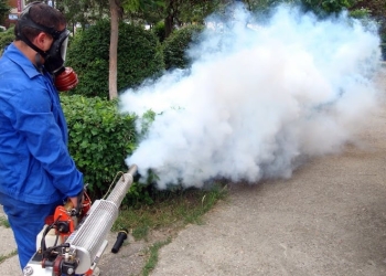 Acțiune de dezinsecție. FOTO Primăria Cernavodă