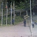 Furtul a fost împiedicat în ultimul moment. FOTO Poliția Locală Tulcea