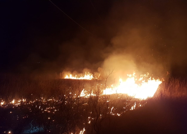 Incendiu de vegetație uscată. FOTO ISU Delta Tulcea