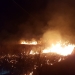 Incendiu de vegetație uscată. FOTO ISU Delta Tulcea