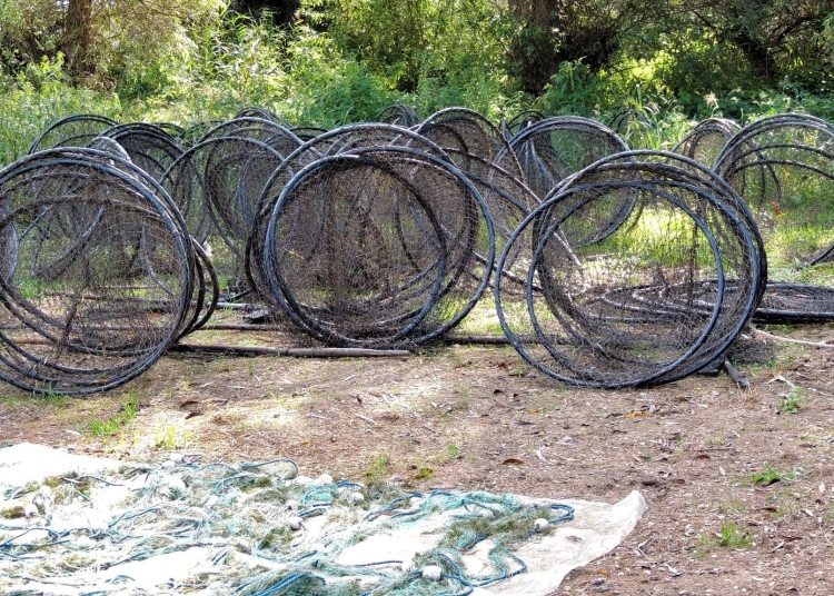 Năvoade de pescuit. FOTO ARBDD