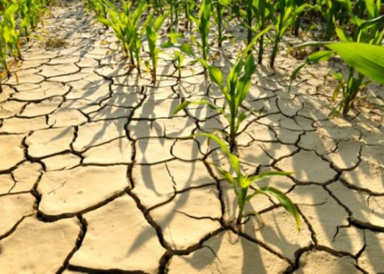 Sursa foto-Capital.ro