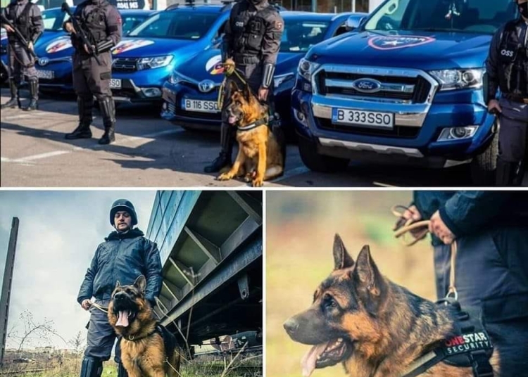 sursa foto: Facebook. One Star Security