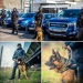 sursa foto: Facebook. One Star Security