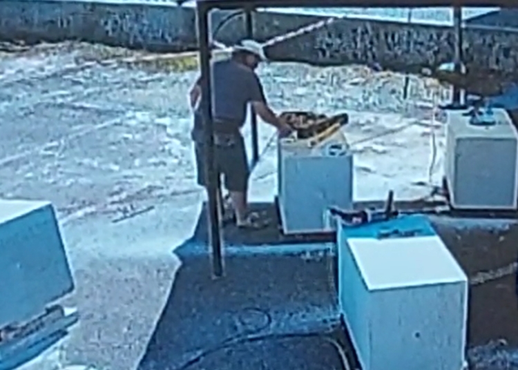 Captură Video