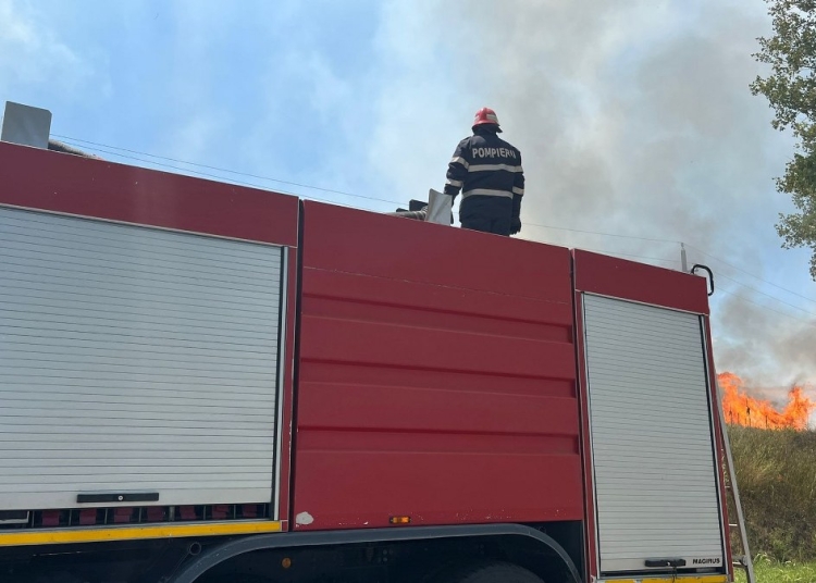 Imagine cu rol ilustrativ