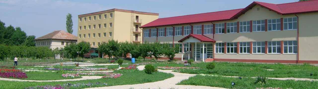 Liceul Tehnologic „Dobrogea“ Castelu