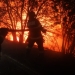 Pompierii români se luptă cu flăcările în Grecia. FOTO IGSU