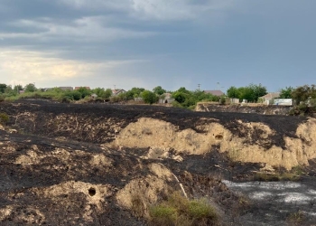 Incendiu de vegetație uscată/ FOTO ISU Ialomița
